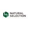 Nafasi ya kazi :- Administrative Assistant / Office Clerk at Natural Selection Mining Limited